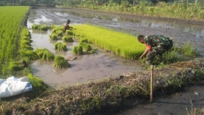 Koramil 0819/03 Kraton