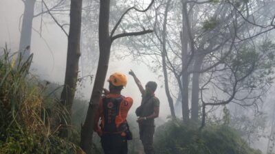 Karhutla Kembali Terjadi di Kawasan Gunung Bromo