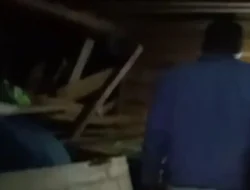 Masuk Permukiman di Lampung Barat, Kamis Malam Gajah Liar Obrak-Abrik Rumah Warga