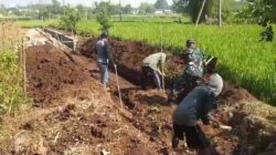Babinsa Koramil 0819/15 Winongan Sertu Marhali bersama warga melaksanakan gotong royong dalam pembuatan irigasi pengairan sawah.