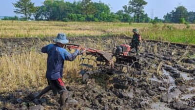 Penuh Semangat, Serda Santoso Bantu Warga Membajak 