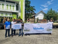Idul Adha 1445-Hijriah, Pelindo Regional 2 Pontianak Bantu 26 Sapi ke Warga Sekitar Pelabuhan