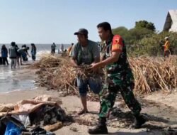 Babinsa-Warga Lekok Pasuruan Bersih-Bersih Pantai Jaga Lingkungan