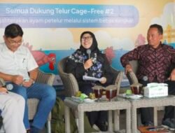 Konsisten Suarakan Kesejahteraan Ayam, AFJ F.A.I.R Sedulur Care #2 Sukses Digelar