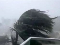 Korban Jiwa Capai 52 Orang, Saat Badai Helene Hantam Florida-AS