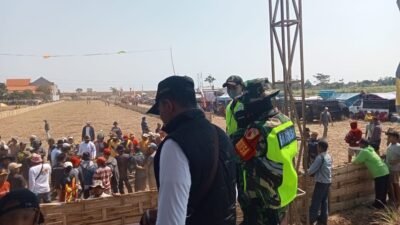 Turnamen Kerapan Sapi