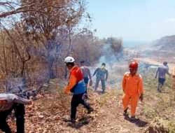 Koramil Paiton Ikut Padamkan Karhutla di Wilayah Teritorial