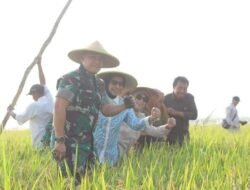 Kodim 0816/Sidoarjo Gelar Gerakan Pengendalian OPT Tikus di Desa Kedungboto Porong