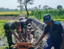 Babinsa Desa Pekangkungan dan Warga Renovasi Irigasi Pertanian
