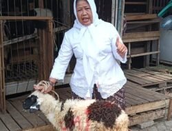 Tunaikan Nazar Prabowo Jadi Presiden, Pemred Sudut Pandang Potong Kambing untuk Anak Yatim