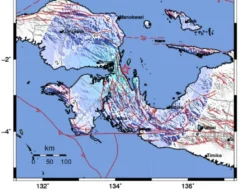Gempa Magnitudo 5,0 Guncang Teluk Wondama, Papua Barat