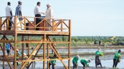 Kementan Percepat Program Swasembada untuk Kesejahteraan Masyarakat Papua