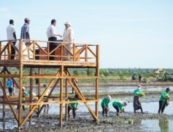 Kementan Percepat Program Swasembada untuk Kesejahteraan Masyarakat Papua