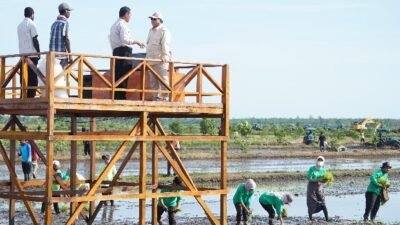 Kementan Percepat Program Swasembada untuk Kesejahteraan Masyarakat Papua