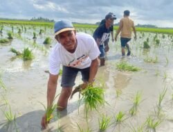 Permudah Distribusi Pupuk, Pemerintah Pangkas 145 Regulasi