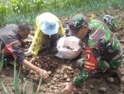 Babinsa Koramil Tutur Bantu Petani Galakkan Program Ketahanan Pangan