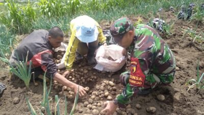 Babinsa Koramil Tutur Bantu Petani Galakkan Program Ketahanan Pangan