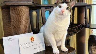 Bobby Kertanegara dapat Rumah Kucing dari Kedubes China