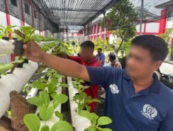 Sinergi dengan Dinas Pertanian dan Ketahanan Pangan Bali, Lapas Kerobokan Lakukan Perawatan Tanaman 