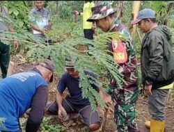 Dukung Penghijauan, Babinsa Gempol dampingi Penanaman Pohon