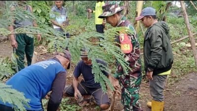 Dukung Penghijauan, Babinsa Gempol dampingi Penanaman Pohon