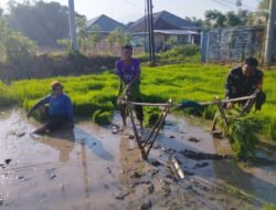 Koramil Wonoasih Dampingi Petani Bercocok Tanam