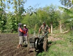 Koramil Leces Bantu Pengolahan Lahan Warga