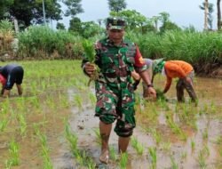 Kodim Probolinggo siap Tingkatan Hasil Pertanian