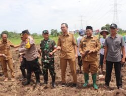 Lakukan Penanaman Jagung, Kodim Probolinggo Sukseskan Program Ketahanan Pangan Nasional