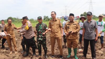 Lakukan Penanaman Jagung, Kodim Probolinggo Sukseskan Program Ketahanan Pangan Nasional