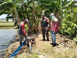 Koramil Kanigaran dampingi Petani dalam Proses Penanaman Padi