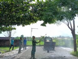 Koramil Dringu Melakukan Pemusnahan Ulat Bulu Di Desa Binaan
