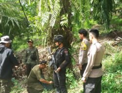 Polres Pesisir Barat dan Instansi Terkait Terus Menggelar Patroli Antisipasi Harimau