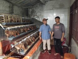 SMK Wikrama Bogor-Quanta Farm Awali Kerja Sama Usaha Ayam Petelur
