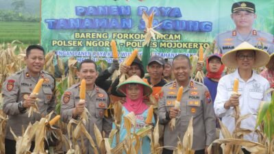 Polres Mojokerto Panen Raya Jagung Hasil Olah Lahan Tidur