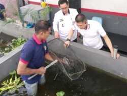 Kalapas Jember Monitoring Program Ketahanan Pangan Budidaya Air Tawar Warga Binaan 