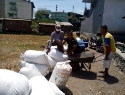 Koramil Leces Melakukan Pendampingan Serapan Gabah Petani