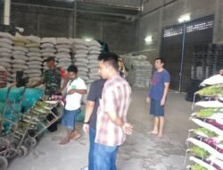 Babinsa Kejayan Dampingi Kunker Tim Bulog Ke Penggilingan Padi