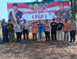 Polsek Sukorejo Bersama Gapoktan Tanam Jagung di Karangsono