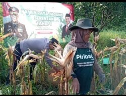 Panen Raya Jagung, Kapolres Pasuruan Dukung Ketahanan Pangan