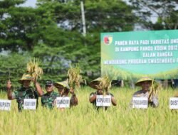 Ketahanan Pangan, Irdam Brawijaya Apresiasi Kodim Lamongan