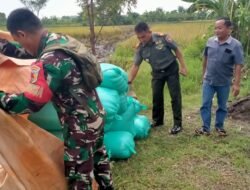 Program Asta Cita, Sinergi antara TNI dan Petani