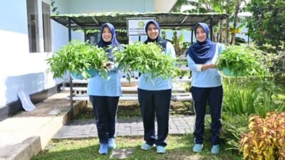 PIA Ardhya Garini Cabang 4/D.I Lanud Husein Sastranegara Panen Kangkung Hidroponik