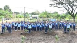 Perkuat Ketahanan Pangan, Lanud Husein Sastranegara Tanam Pohon Alpukat dan Panen Sayuran 