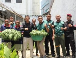 Berkah Ramadan, Lapas Jember Panen Kangkung Penuhi Ketahanan Pangan