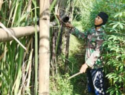 Budidaya Tebu, Prajurit TNI Magetan Mampu Sejahterakan Keluarga