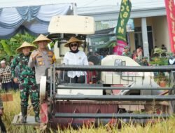 Pemkab Sidoarjo Ikuti Panen Raya Padi Serentak bersama Presiden