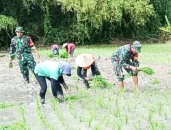 Kodim Bojonegoro bantu Petani Wujudkan Ketahanan Pangan