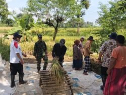 Anggota Koramil Kuripan Turut Mengawal Proses Memanen Padi