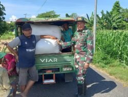 Koramil Wonoasih Melakukan Pendampingan Serap Gabah Petani